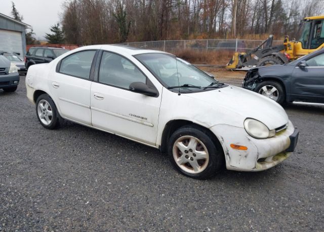 Dodge Neon