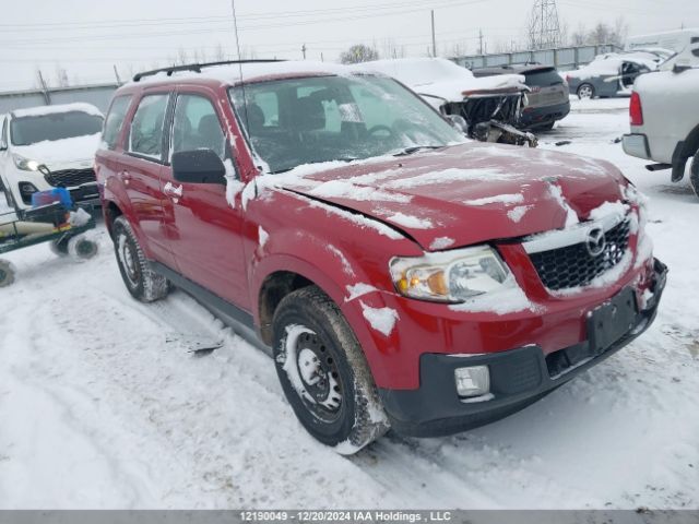 Mazda Tribute