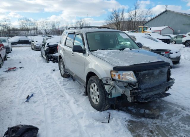 Mazda Tribute