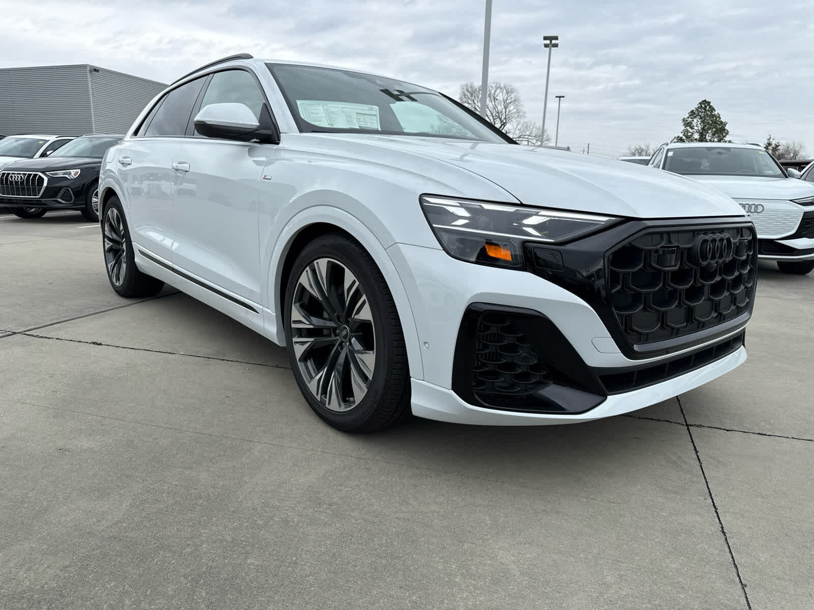 2025 Audi Q8