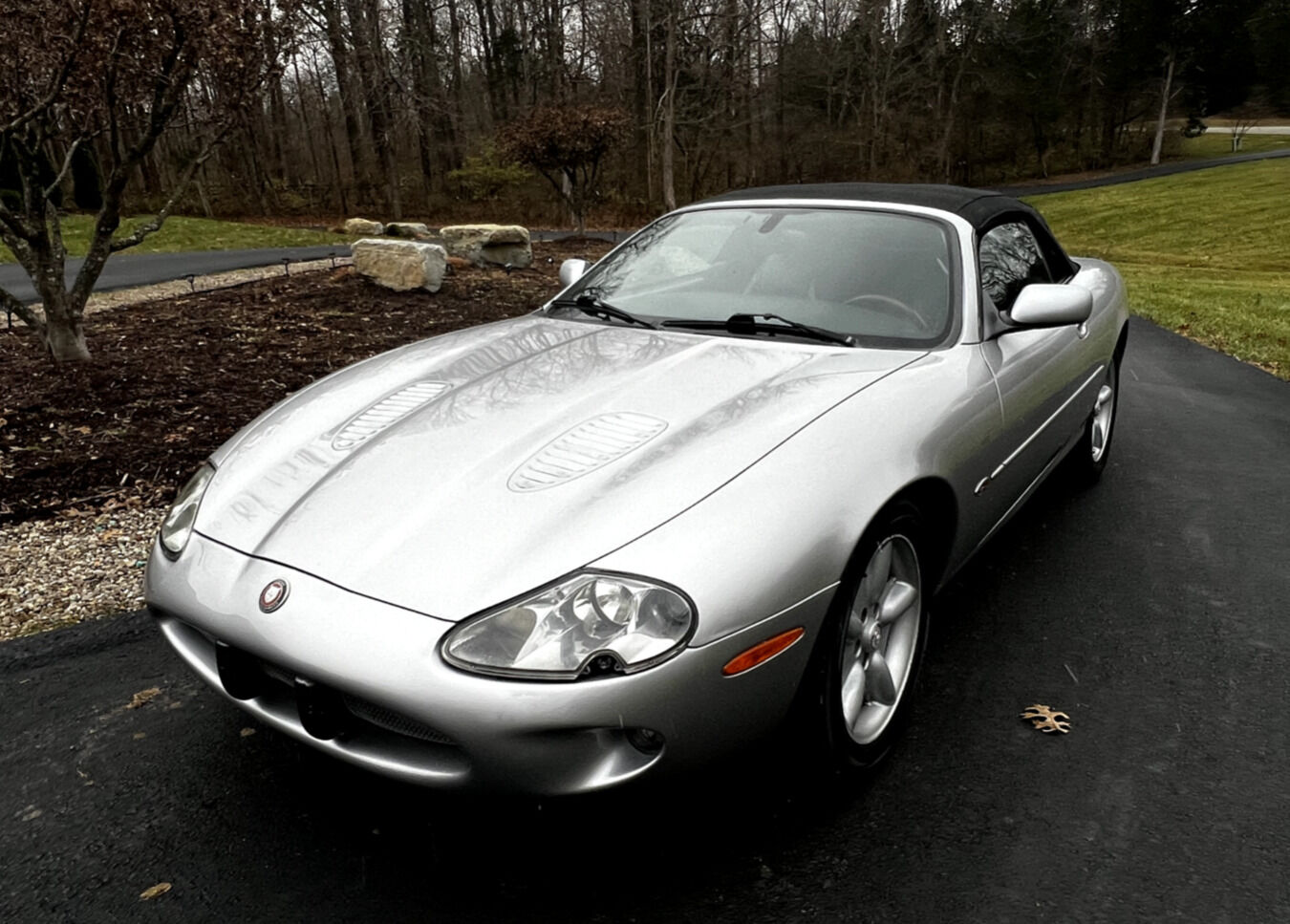 Jaguar XK