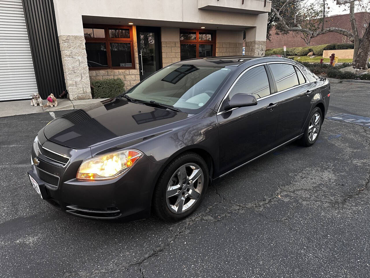 2010 CHEVROLET Malibu