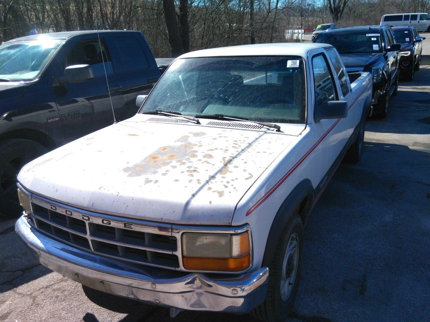 Dodge Dakota