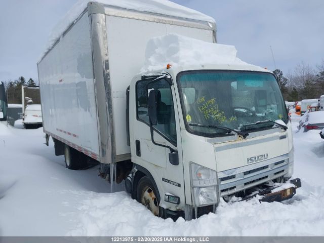 Isuzu NQR/NRR