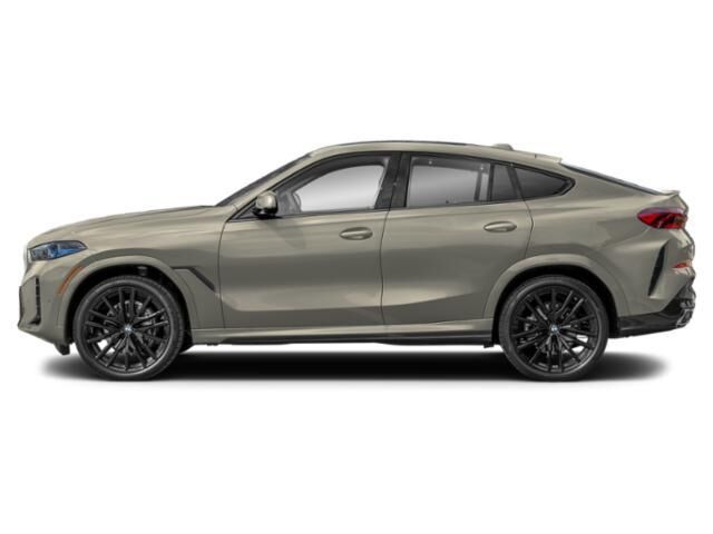 2025 BMW X6