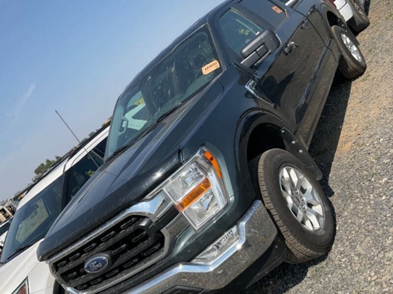 2021 FORD F-150