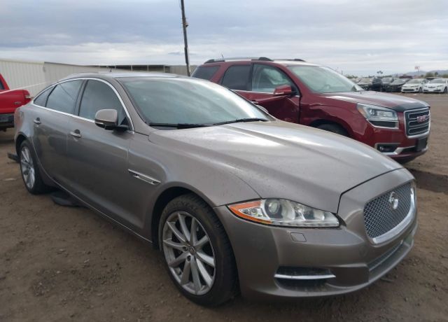 JAGUAR