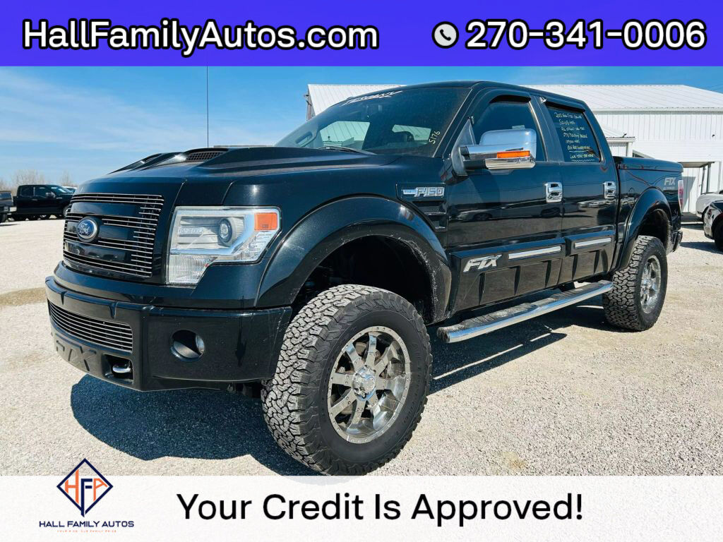 2013 FORD F-150