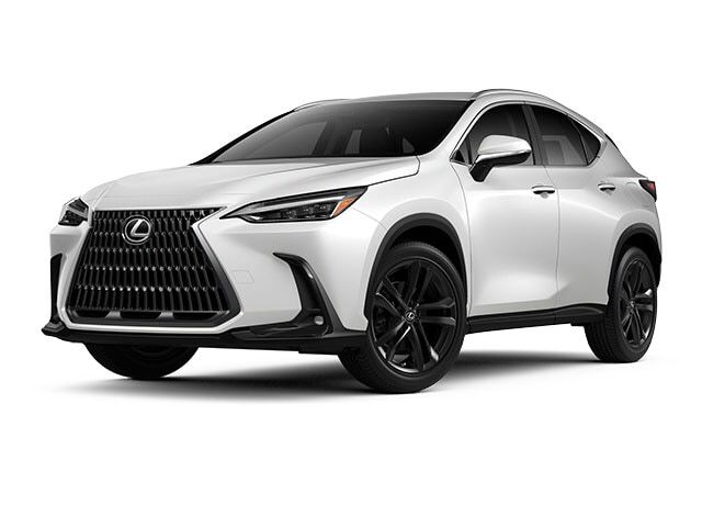 2025 Lexus NX