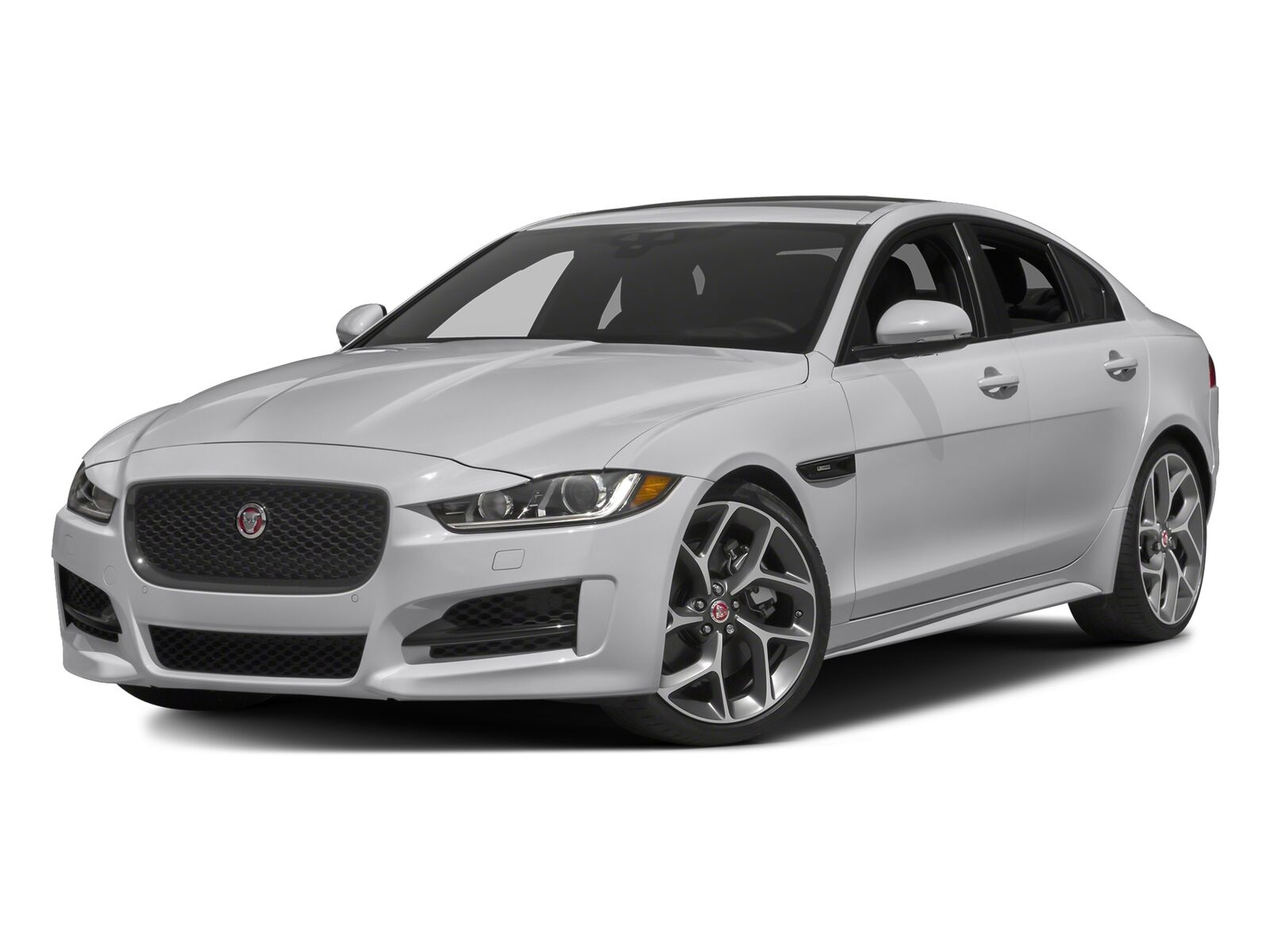 JAGUAR