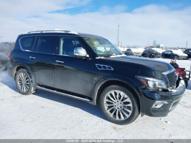 Infiniti QX80