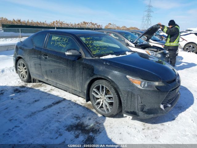 Toyota SCION tC
