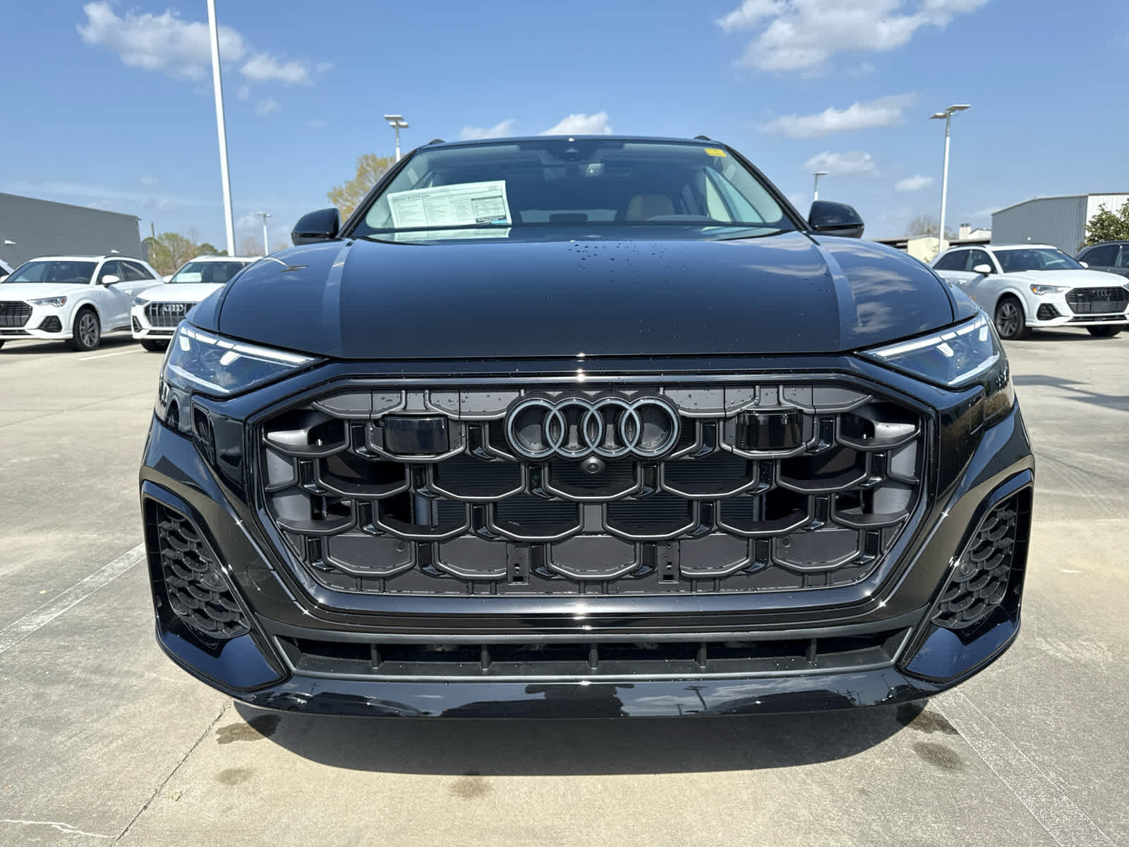 2025 Audi Q8