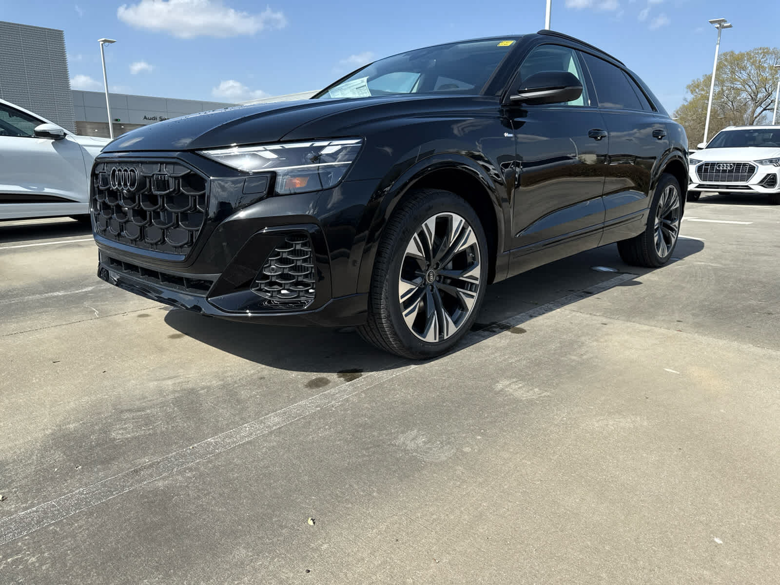 2025 AUDI Q8