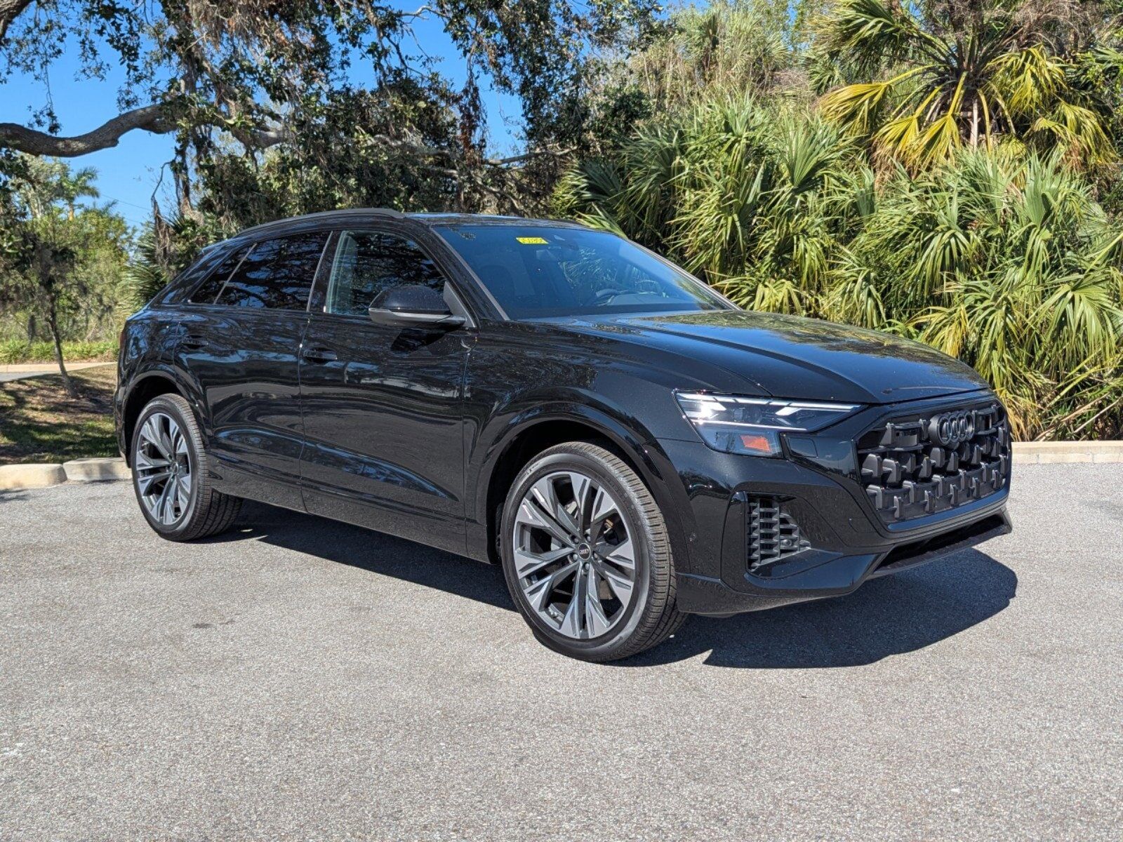 2025 AUDI Q8