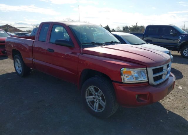 Dodge Dakota