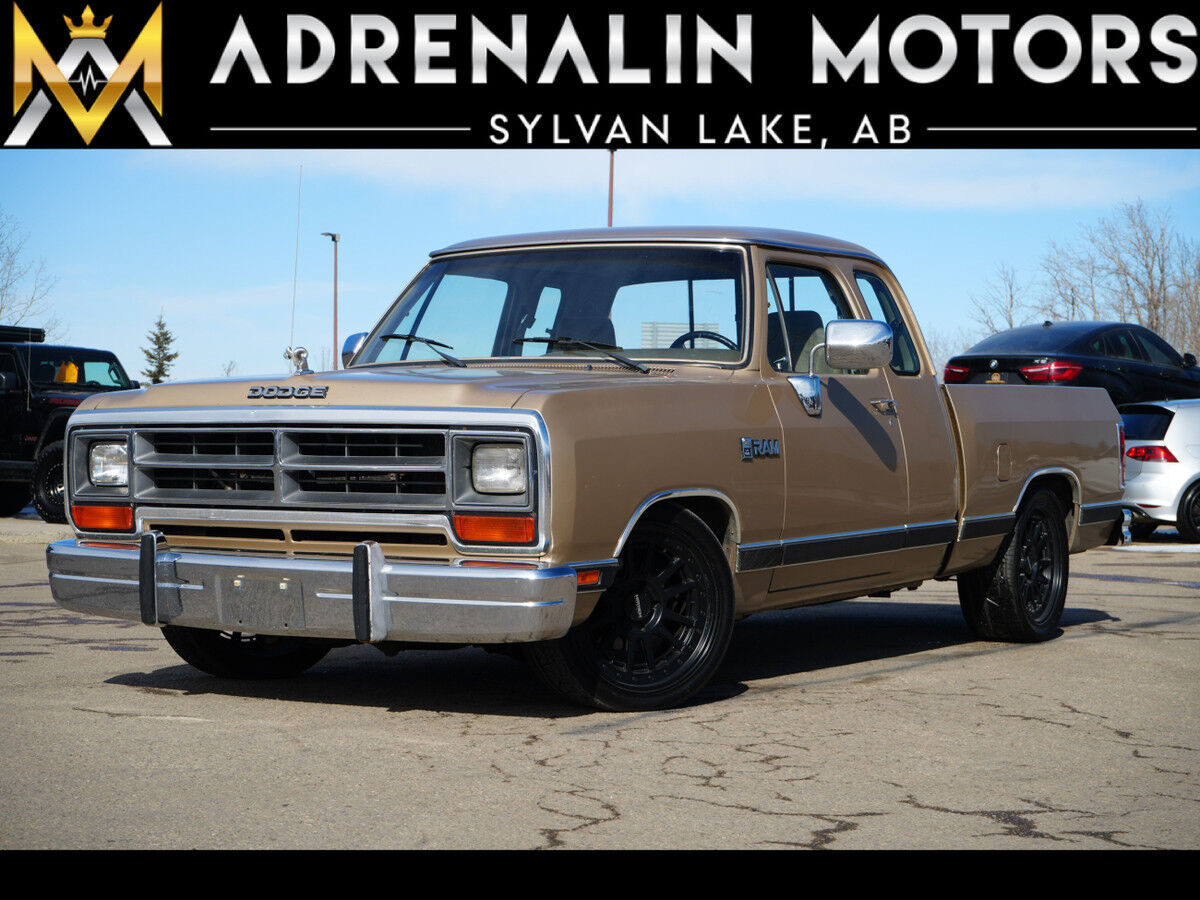 Dodge D-Series