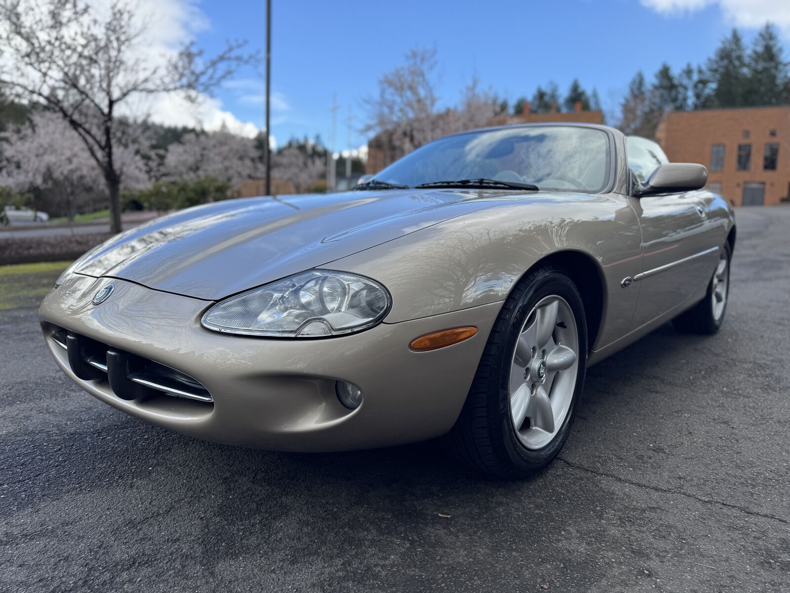 Jaguar XK8