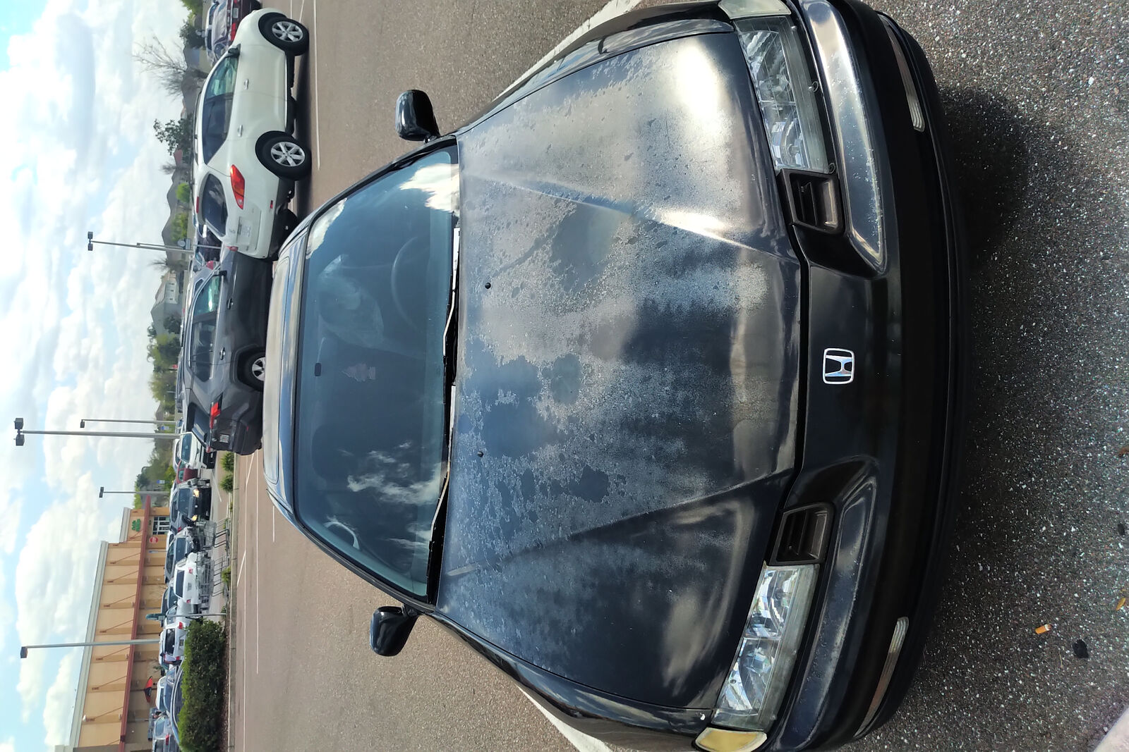 Honda Prelude