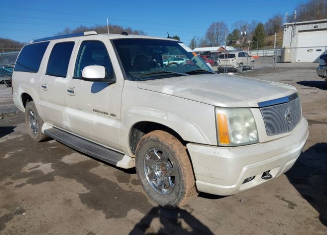 CADILLAC