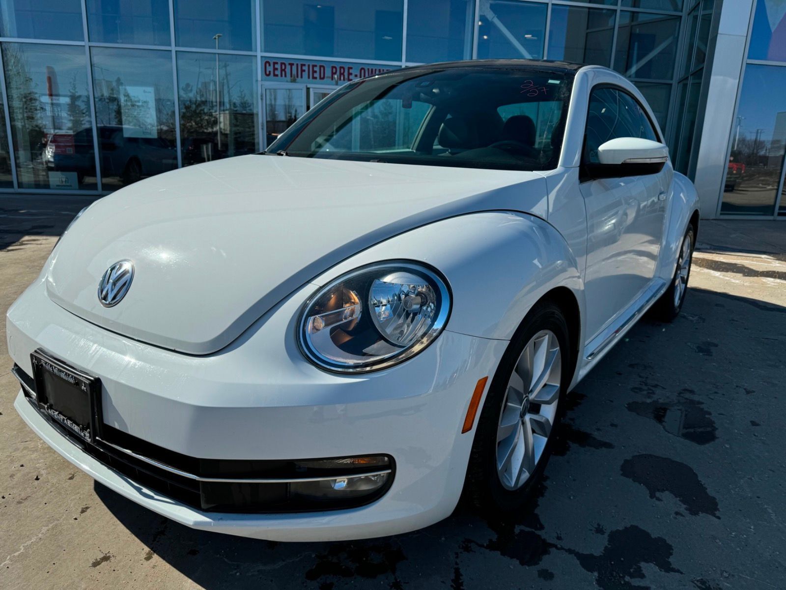 Volkswagen Beetle
