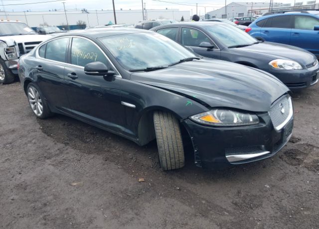 JAGUAR