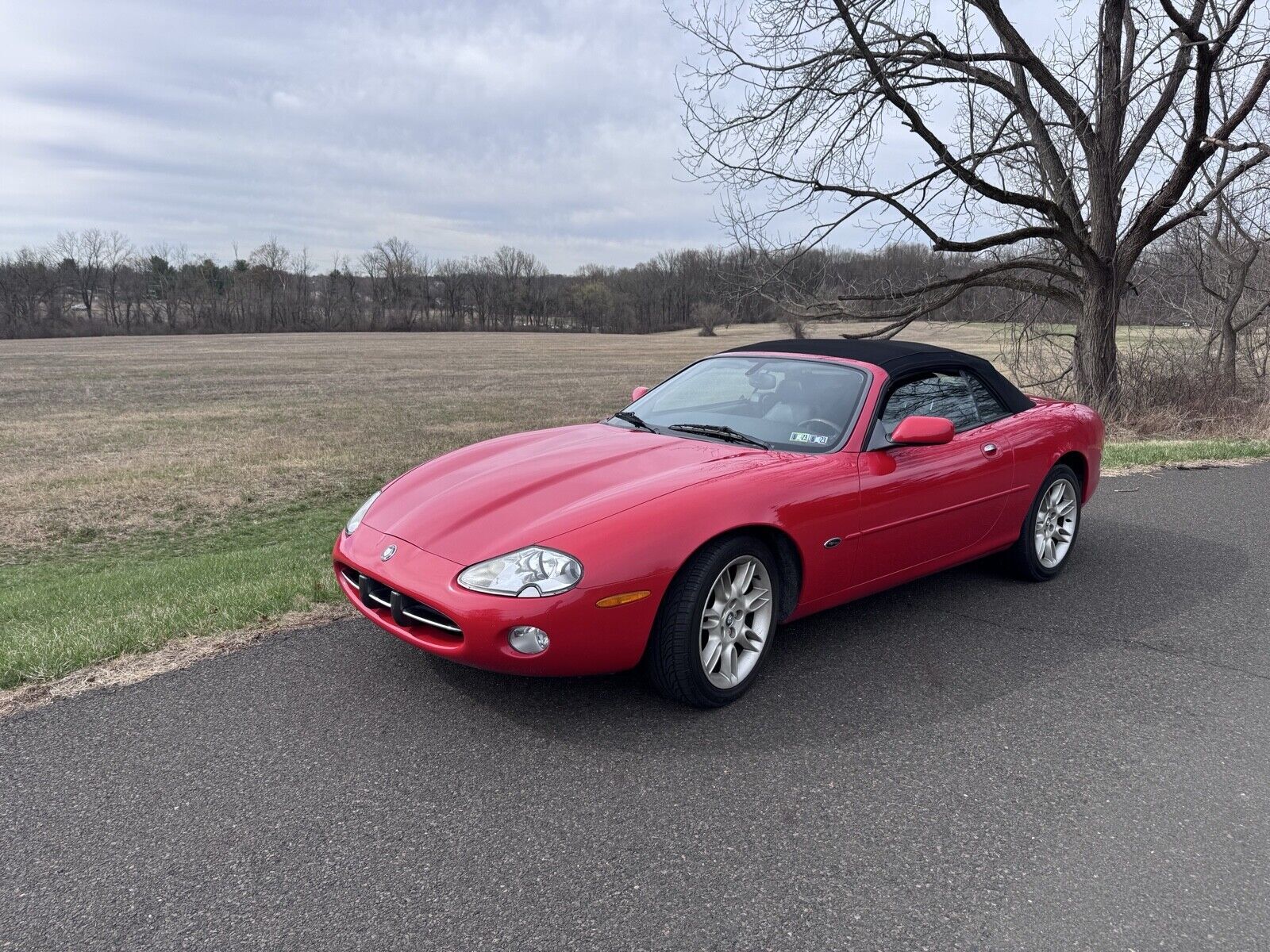 Jaguar XK8