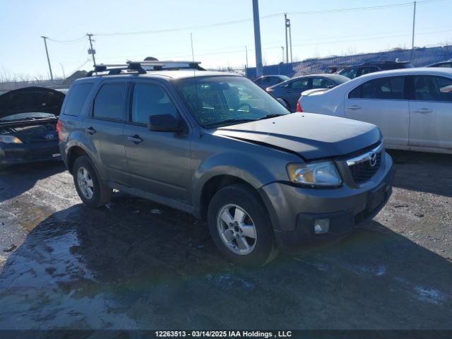 Mazda Tribute