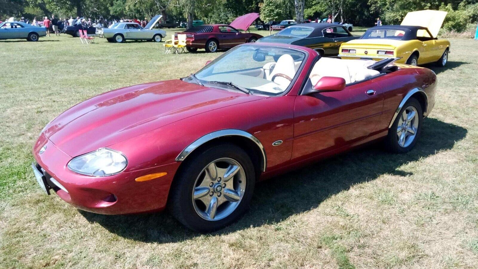 JAGUAR