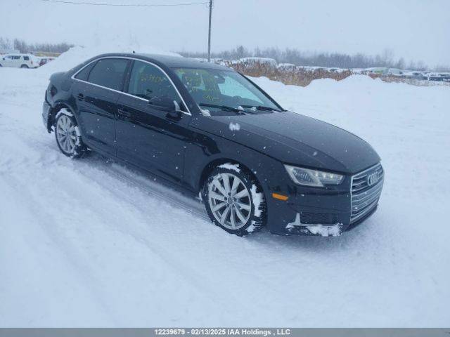 AUDI