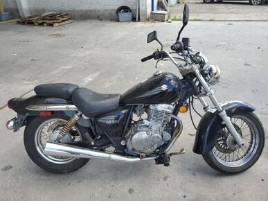 2009 SUZUKI GZ250 - License Plate
