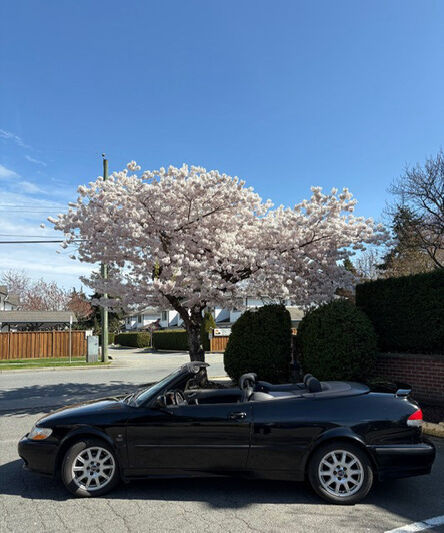 Saab 9-3