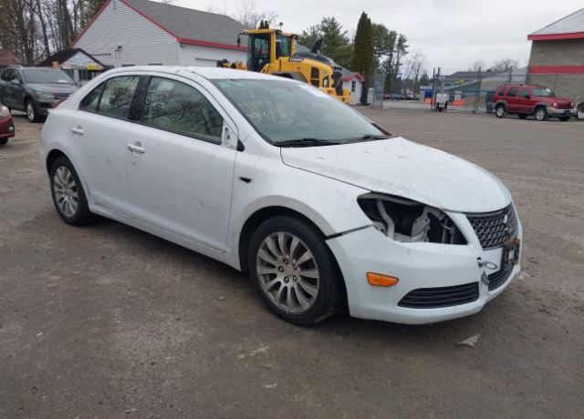 Suzuki Kizashi