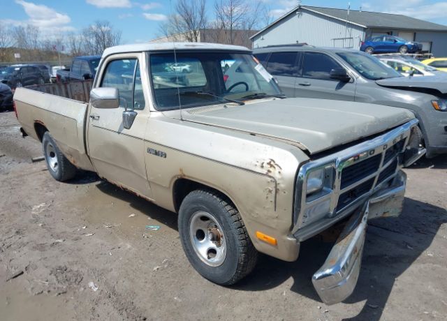 Dodge D-Series