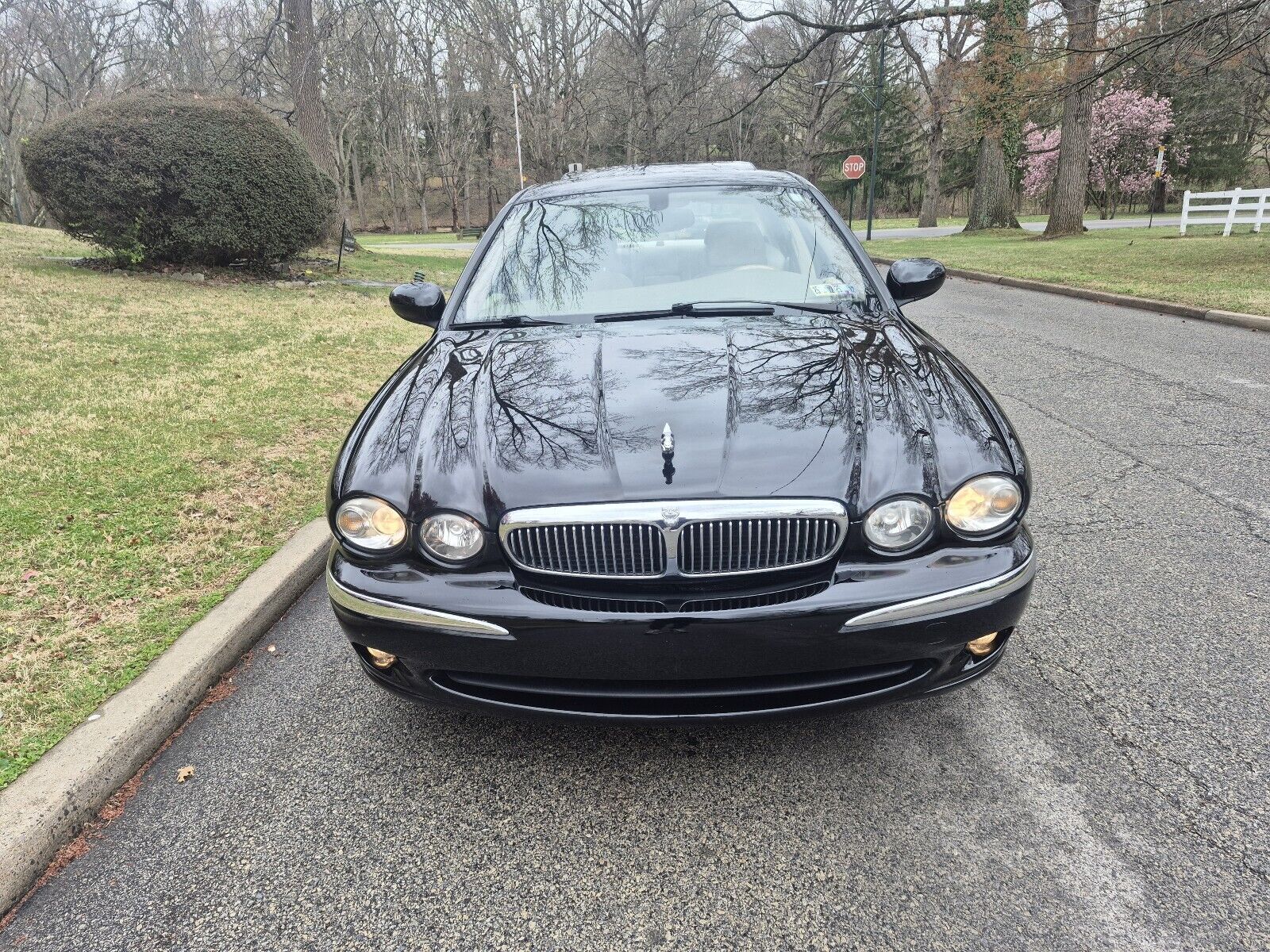 Jaguar X-Type