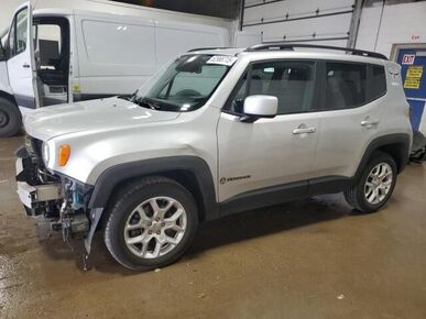 2017 JEEP Renegade - License Plate