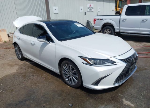 LEXUS