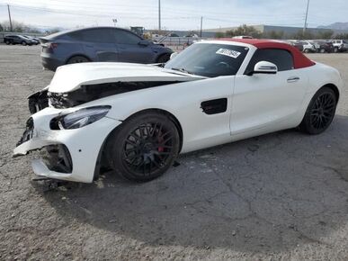 2019 MERCEDES-BENZ AMG GT - License Plate