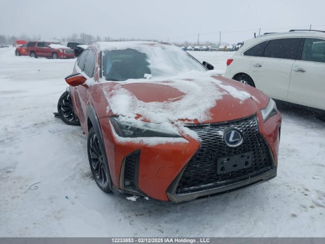 LEXUS