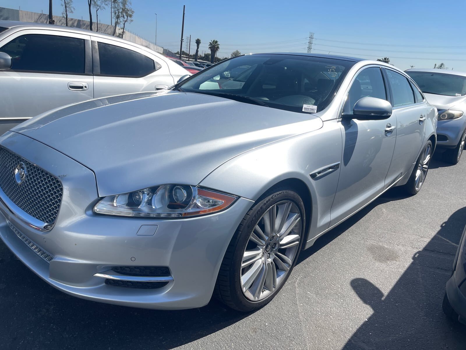 JAGUAR