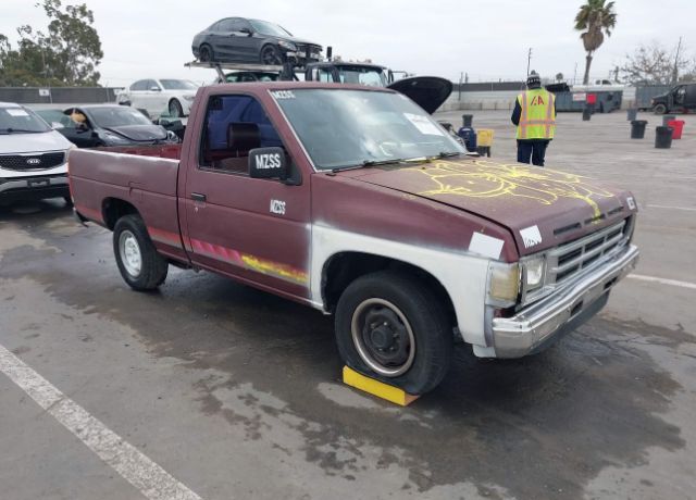 Nissan Pickup