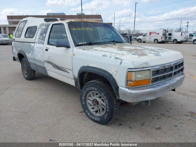 Dodge Dakota