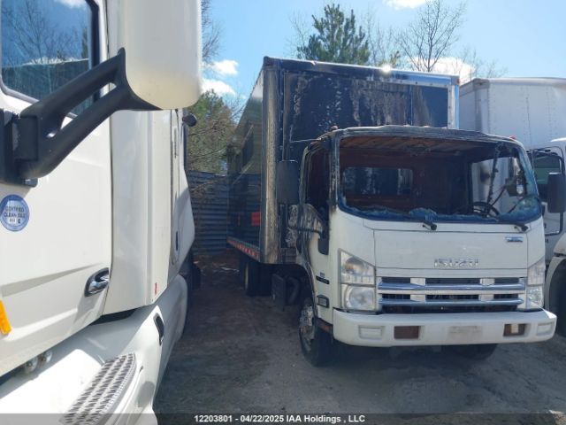 Isuzu NQR/NRR