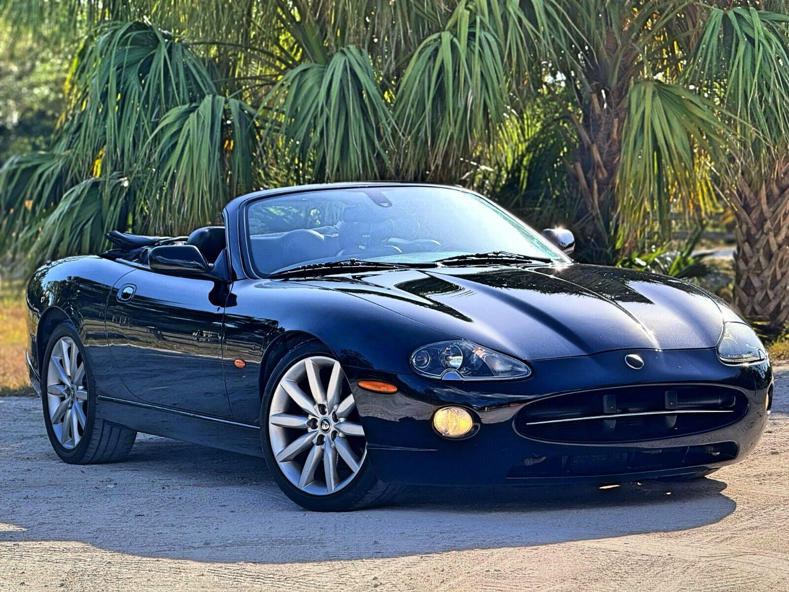 Jaguar XK