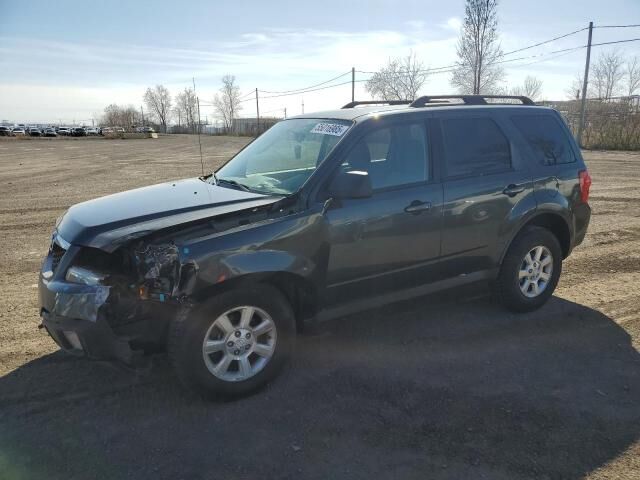 Mazda Tribute