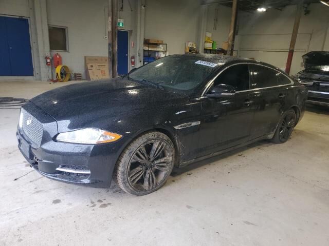 JAGUAR