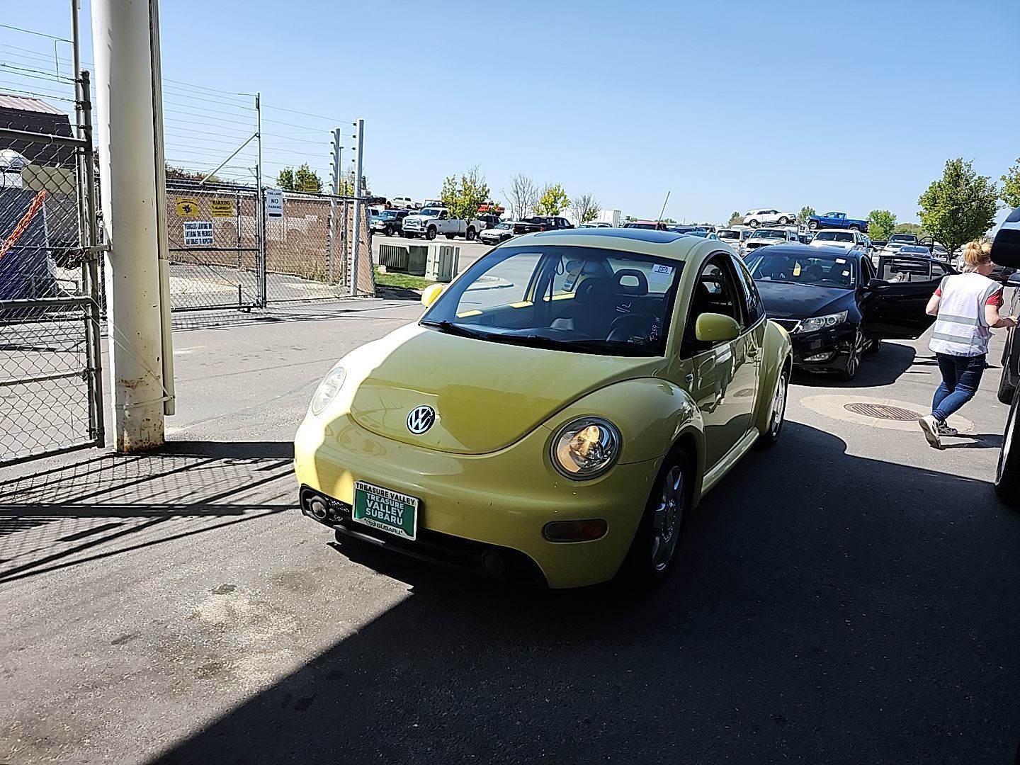 Volkswagen Beetle
