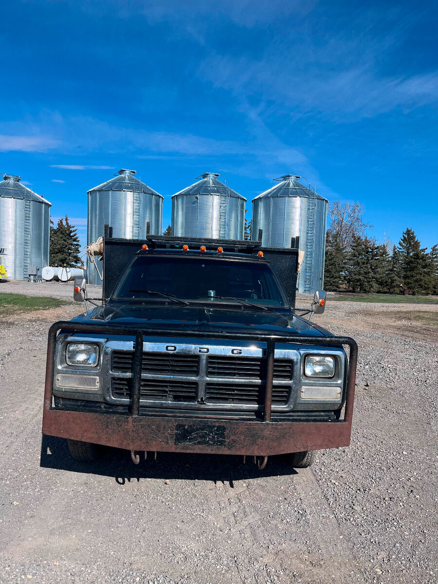 Dodge D-Series