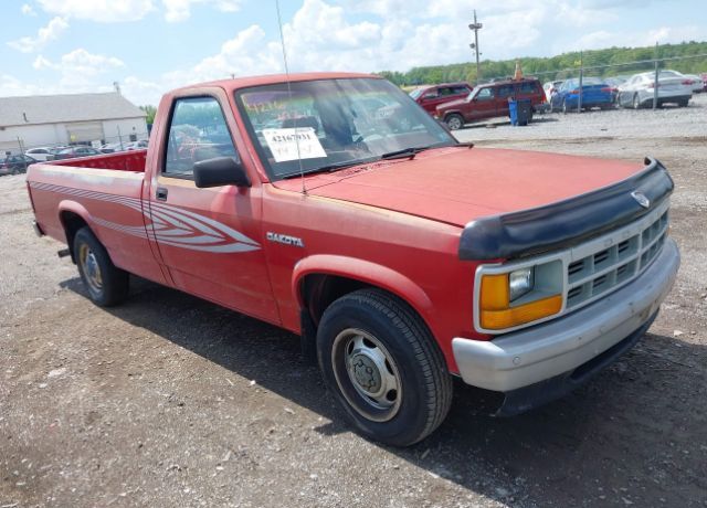 Dodge Dakota