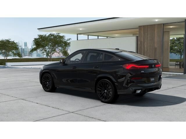 2026 BMW X6